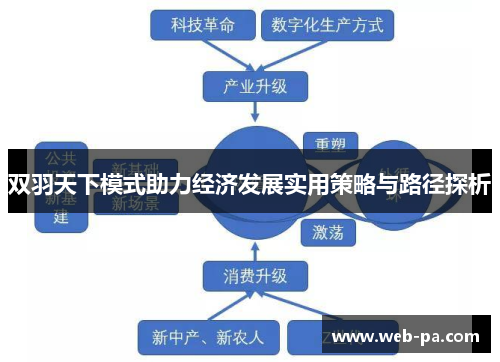 双羽天下模式助力经济发展实用策略与路径探析