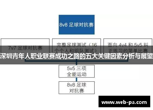深圳青年人职业联赛成功之路的五大关键因素分析与展望