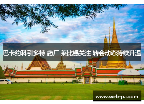 巴卡约科引多特 药厂 莱比锡关注 转会动态持续升温
