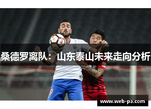 桑德罗离队：山东泰山未来走向分析