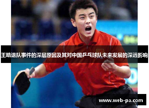 王皓退队事件的深层原因及其对中国乒乓球队未来发展的深远影响