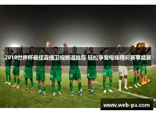 2018世界杯最佳直播卫视频道推荐 轻松享受每场精彩赛事盛宴