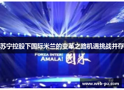 苏宁控股下国际米兰的变革之路机遇挑战并存