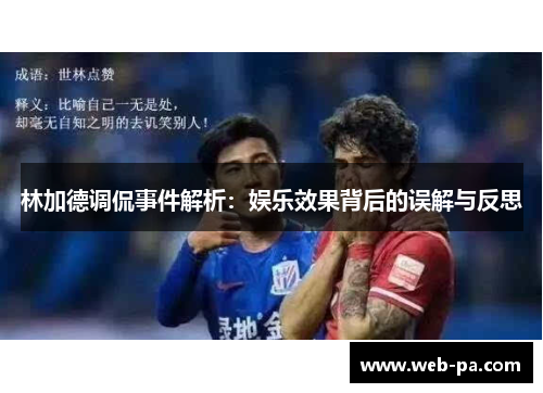 林加德调侃事件解析：娱乐效果背后的误解与反思