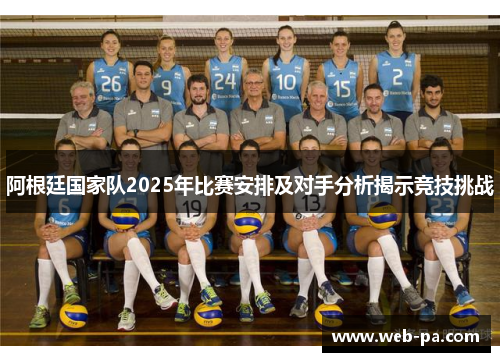 阿根廷国家队2025年比赛安排及对手分析揭示竞技挑战