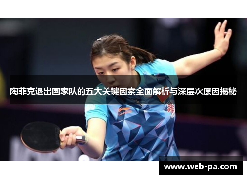 陶菲克退出国家队的五大关键因素全面解析与深层次原因揭秘 陶菲克退出国家队的五大关键因素全面解析与深层次原因揭秘