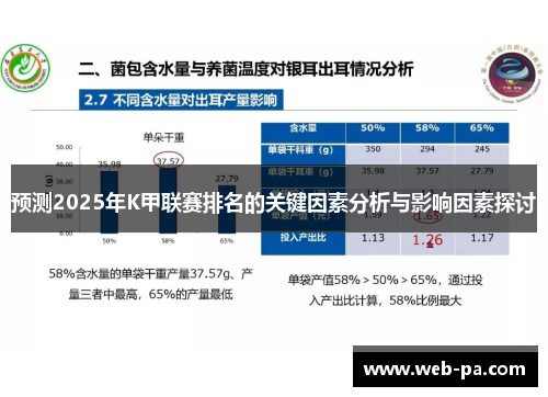 预测2025年K甲联赛排名的关键因素分析与影响因素探讨