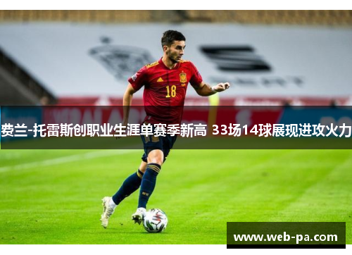 费兰-托雷斯创职业生涯单赛季新高 33场14球展现进攻火力